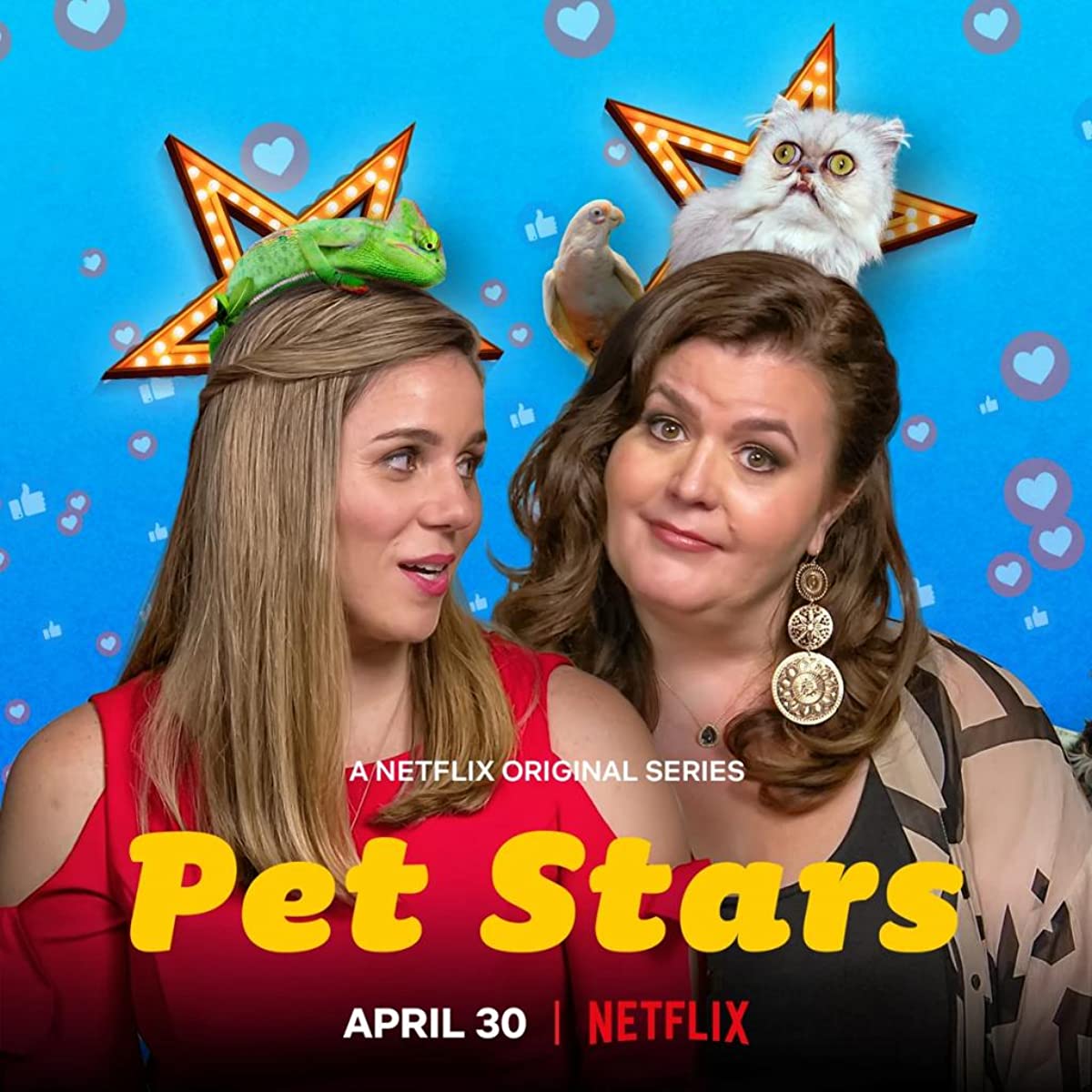 برنامج Pet Stars الموسم الاول الحلقة 5 والاخيرة