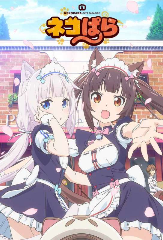 انمي Nekopara الحلقة 11 مترجمة