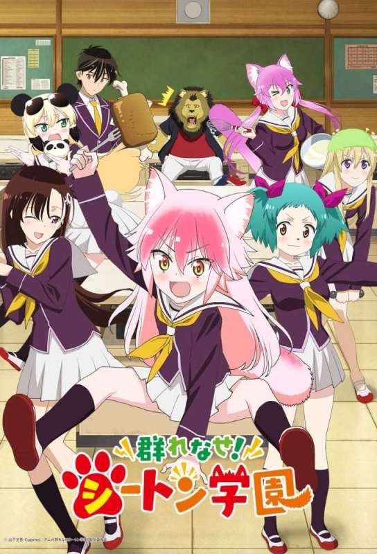 انمي Murenase! Seton Gakuen الحلقة 12 والاخيرة مترجمة