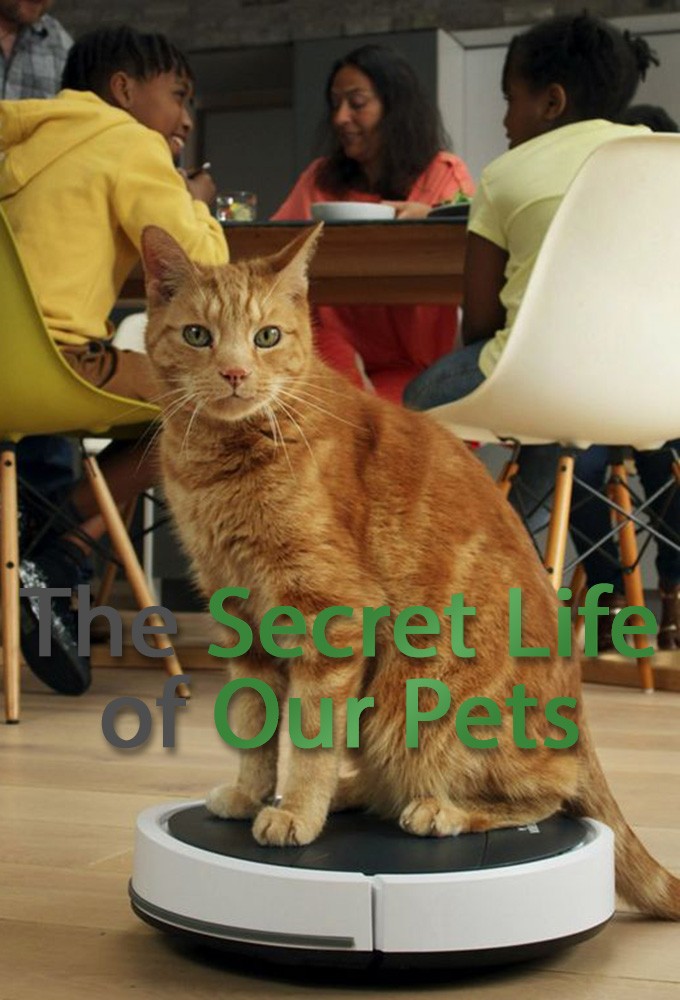 مسلسل The Secret Life of Our Pets الموسم الاول الحلقة 3