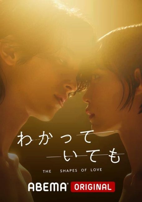 مسلسل اشكال الحب Wakatte Ite Mo: The Shapes Of Love الحلقة 8 الاخيرة مترجمة
